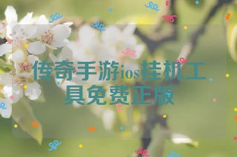 传奇手游ios挂机工具免费正版