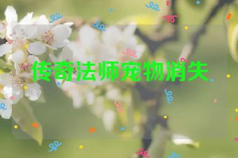 传奇法师宠物消失
