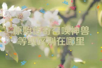 原始传奇召唤神兽等级区别在哪里