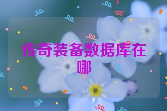 传奇装备数据库在哪