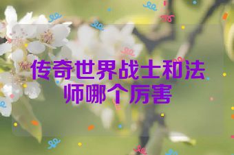 传奇世界战士和法师哪个厉害