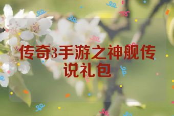 传奇3手游之神舰传说礼包