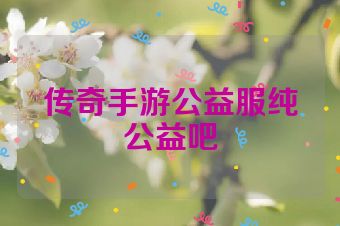 传奇手游公益服纯公益吧