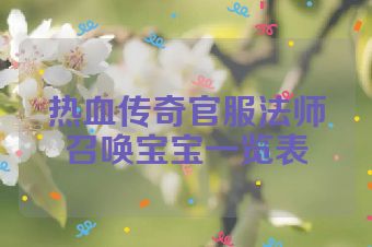 热血传奇官服法师召唤宝宝一览表
