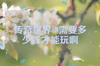 传奇世界v8需要多少钱才能玩啊