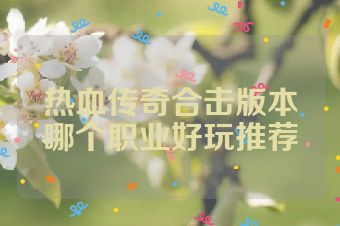 热血传奇合击版本哪个职业好玩推荐