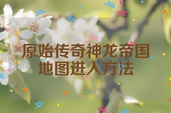 原始传奇神龙帝国地图进入方法