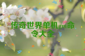 传奇世界单机gm命令大全