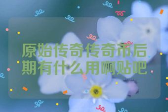 原始传奇传奇币后期有什么用啊贴吧