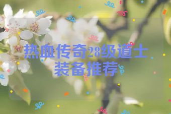 热血传奇28级道士装备推荐