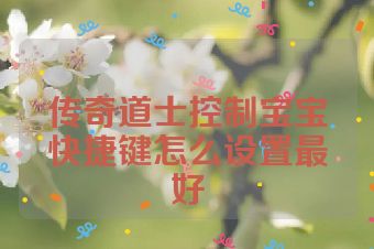 传奇道士控制宝宝快捷键怎么设置最好
