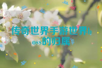 传奇世界手游世界boss的归属