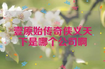 壹原始传奇侠义天下是哪个公司啊