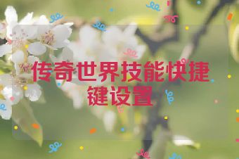 传奇世界技能快捷键设置