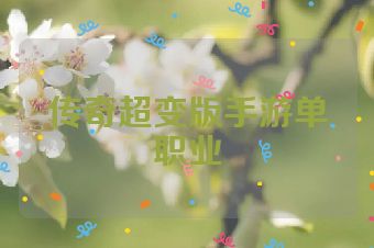 传奇超变版手游单职业