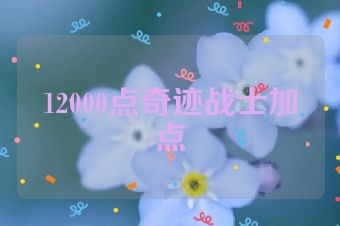12000点奇迹战士加点