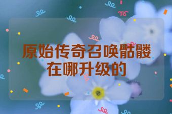 原始传奇召唤骷髅在哪升级的