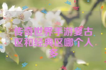 传奇世界手游复古区和经典区哪个人多