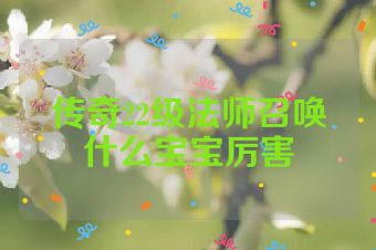 传奇22级法师召唤什么宝宝厉害