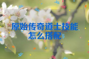 原始传奇道士技能怎么搭配