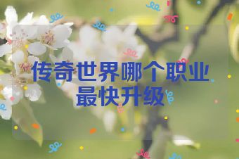传奇世界哪个职业最快升级