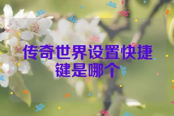 传奇世界设置快捷键是哪个