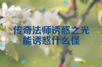 传奇法师诱惑之光能诱惑什么怪