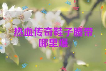 热血传奇鞋子腰带哪里爆