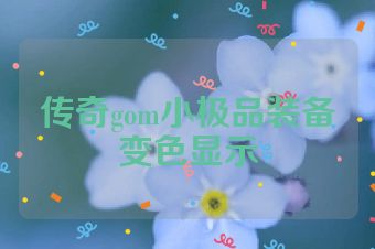 传奇gom小极品装备变色显示