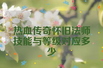 热血传奇怀旧法师技能与等级对应多少