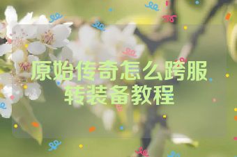 原始传奇怎么跨服转装备教程