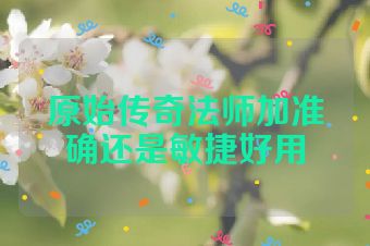 原始传奇法师加准确还是敏捷好用