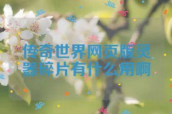 传奇世界网页版灵器碎片有什么用啊