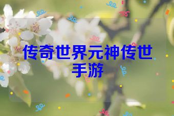 传奇世界元神传世手游