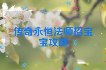 传奇永恒法师招宝宝攻略