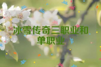 冰雪传奇三职业和单职业