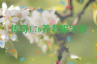 传奇1.76养老服手游