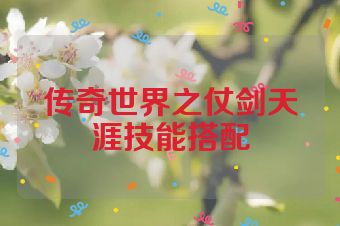 传奇世界之仗剑天涯技能搭配