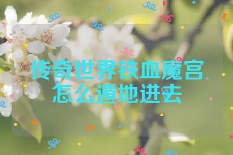 传奇世界铁血魔宫怎么遁地进去