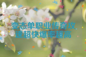 变态单职业传奇攻速超快爆率超高