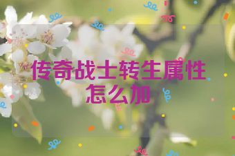 传奇战士转生属性怎么加
