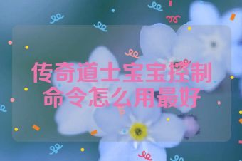 传奇道士宝宝控制命令怎么用最好