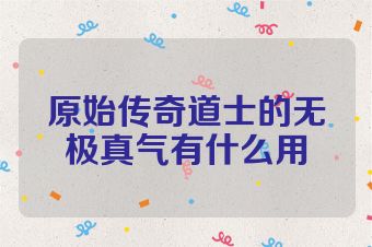 原始传奇道士的无极真气有什么用