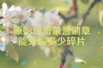 原始传奇荣誉勋章能分解多少碎片