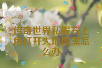 传奇世界私服右上角打开大地图黑怎么办