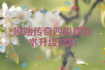 原始传奇四级嗜血术升级材料