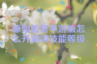 原始传奇手游版怎么升满级技能等级