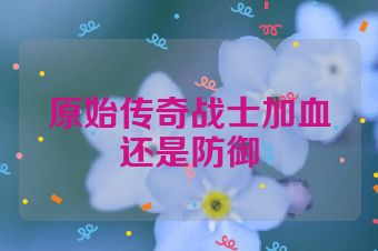 原始传奇战士加血还是防御