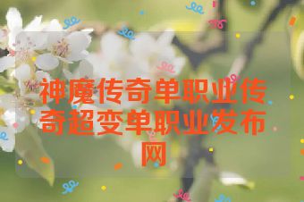神魔传奇单职业传奇超变单职业发布网