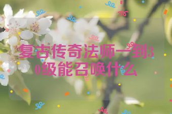 复古传奇法师一到30级能召唤什么